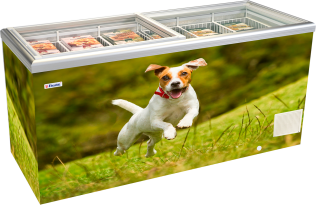 ΚΑΤΑΨΥKΤΗΣ ΜΕ ΣΥΡΟΜΕΝΑ ΙΣΙΑ ΚΡΥΣΤΑΛΑ ELCOLD CSG - Image 3