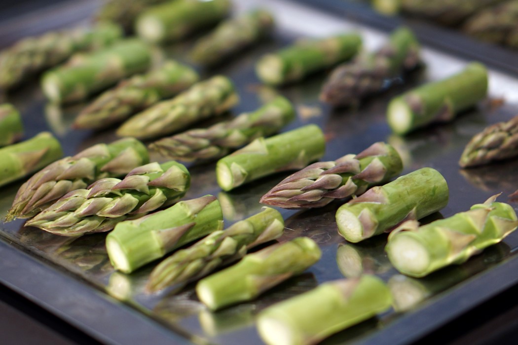 ΗΛΕΚΤΡΙΚΟ ΠΛΑΤΩ ELECTROLUX - Image 2