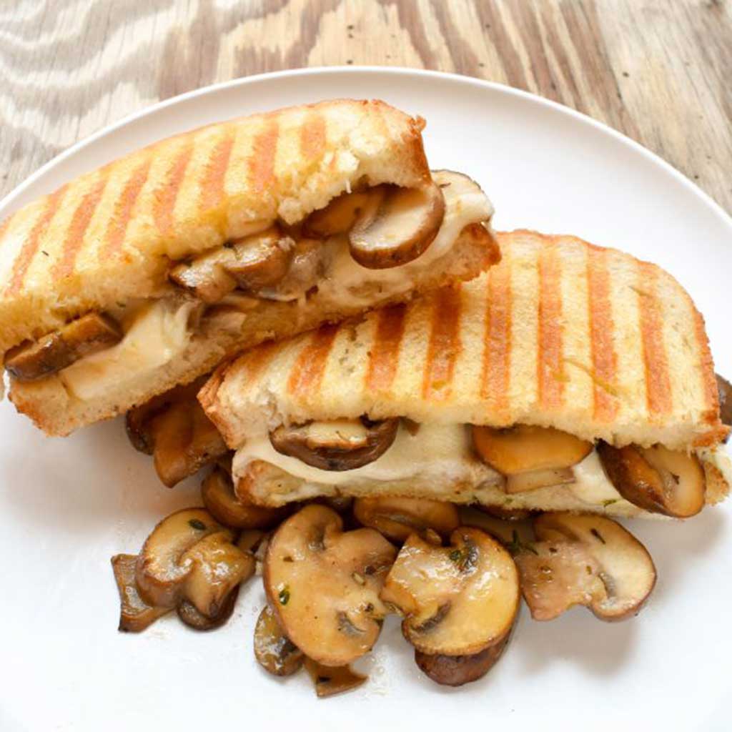 Τοστιέρα μονή HALDEX - Image 3